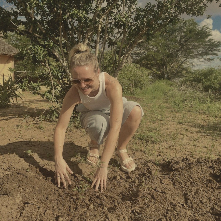 Planting a seedling under an acacia tree